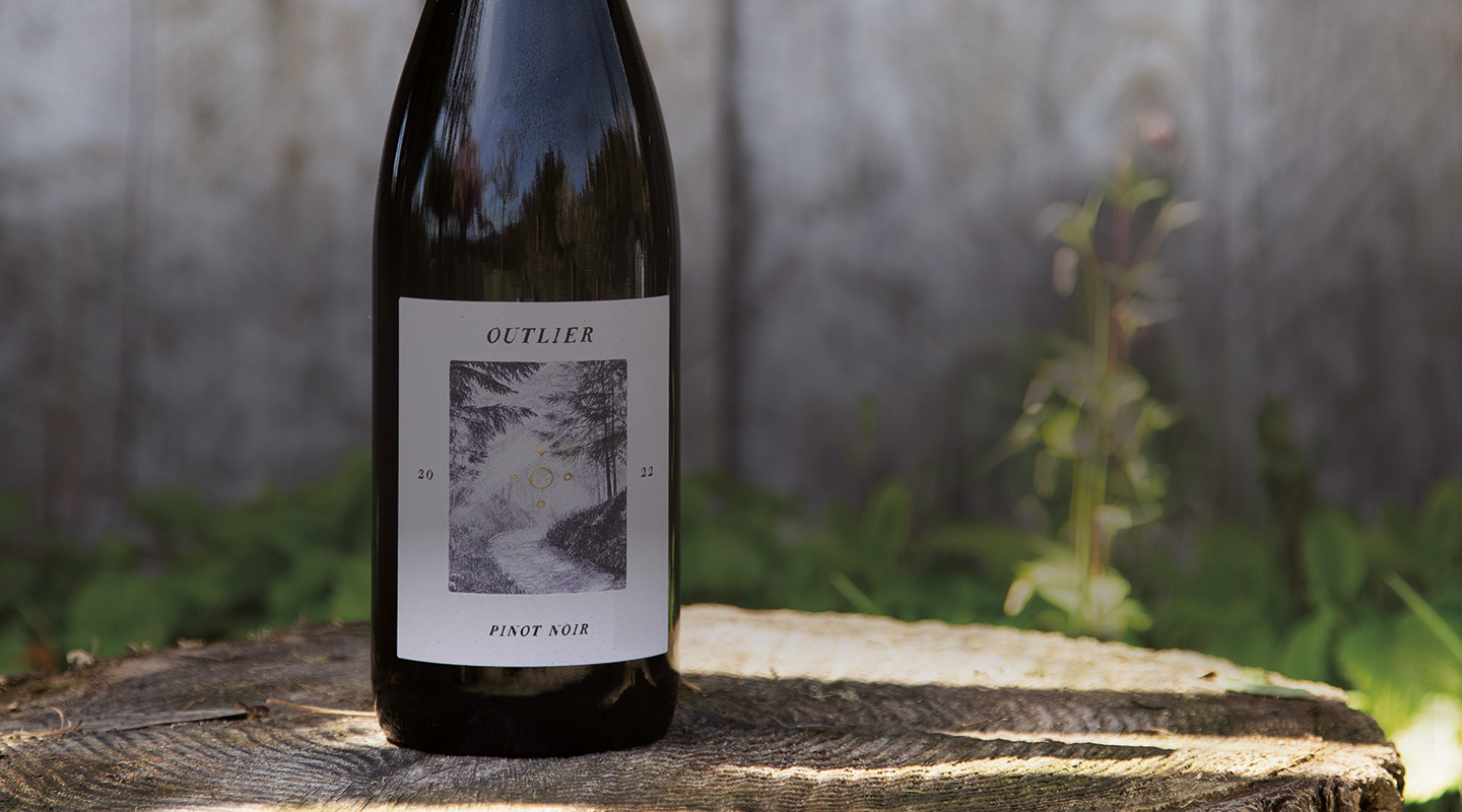 Outlier Pinot Noir on tree stump in the forest
