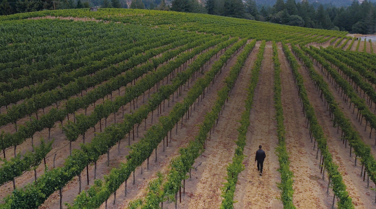 Vineyard Rows and Winemaker Derek Rohlffs